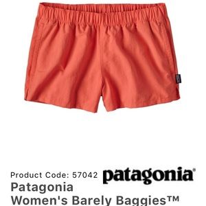 Patagonia Baggies Shorts